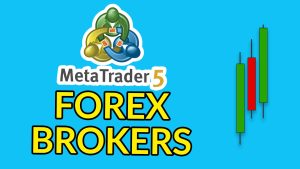 Best MetaTrader 5 forex brokers.